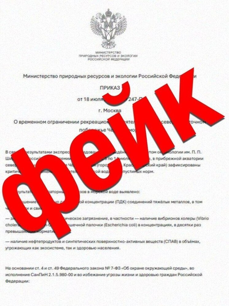 Администрация Сочи опровергла фейковые сообщения о закрытии пляжей из-за холеры