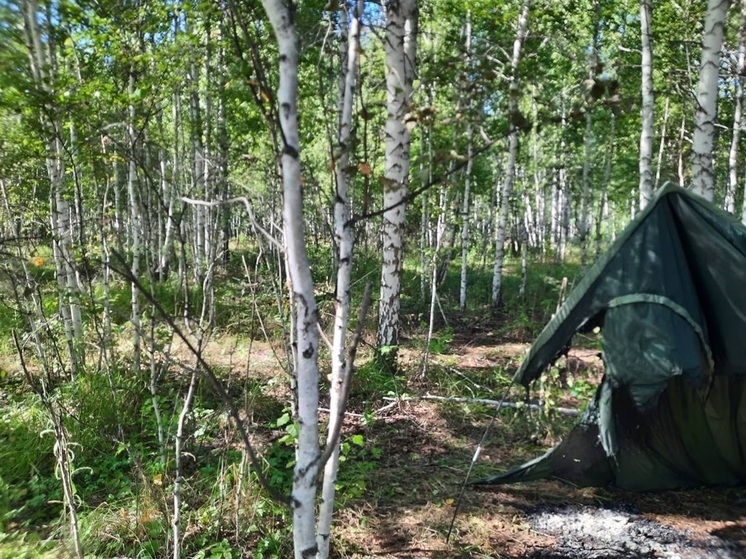 Труп мужчины нашли в обгоревшей палатке в лесу под Шадринском