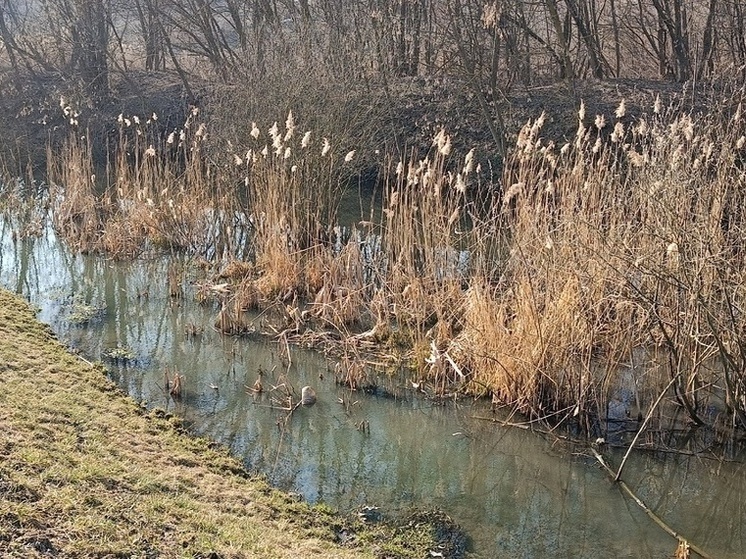 Углегорское и Павлопольское водохранилища помогут улучшить ситуацию с водой в ДНР