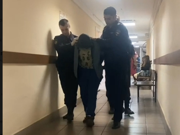 Похититель ярославского кенгуренка предстанет перед судом