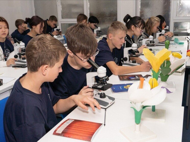 Четыре агрокласса планируют открыть в Иркутской области к 2027 году