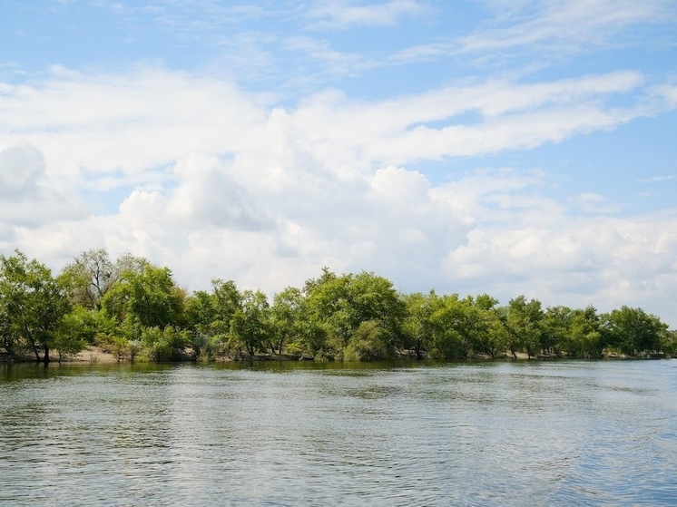 В Волгоградской области в реке Дон утонул мужчина