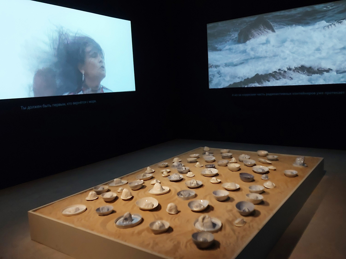 Interacción de los visitantes con la exposición