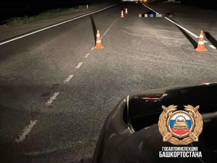 Водитель в Башкирии в темноте переехал пешехода