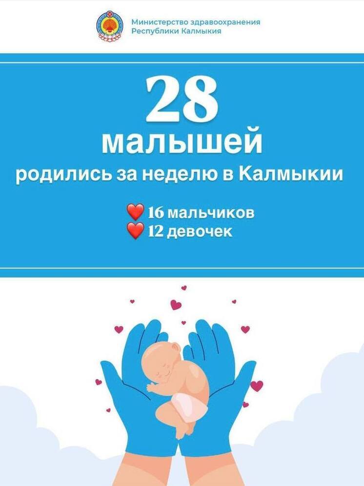 В Калмыкии за неделю родилось 28 малышей