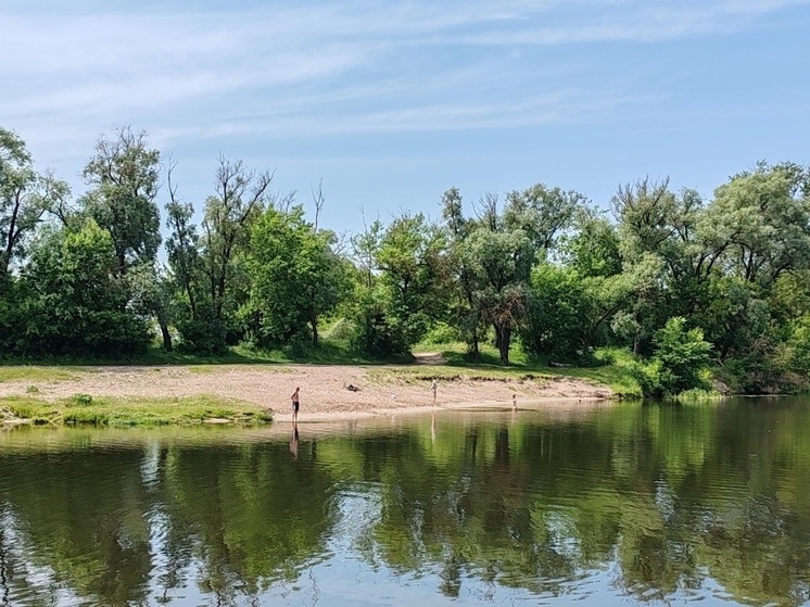 На пляжах в Курской области исследовали 361 пробу воды