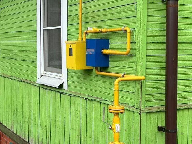 С начала года по субсидии в Ленобласти подключили к газу 2400 домовладений