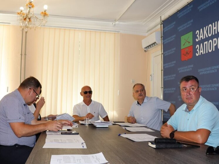 Под руководством Николая Андроса прошло заседание Комитета по социальной политике Законодательного Собрания Запорожской области