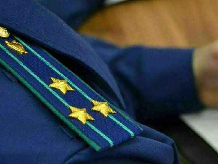 В Липецкой области директор школы ответит в суде за подделку документов