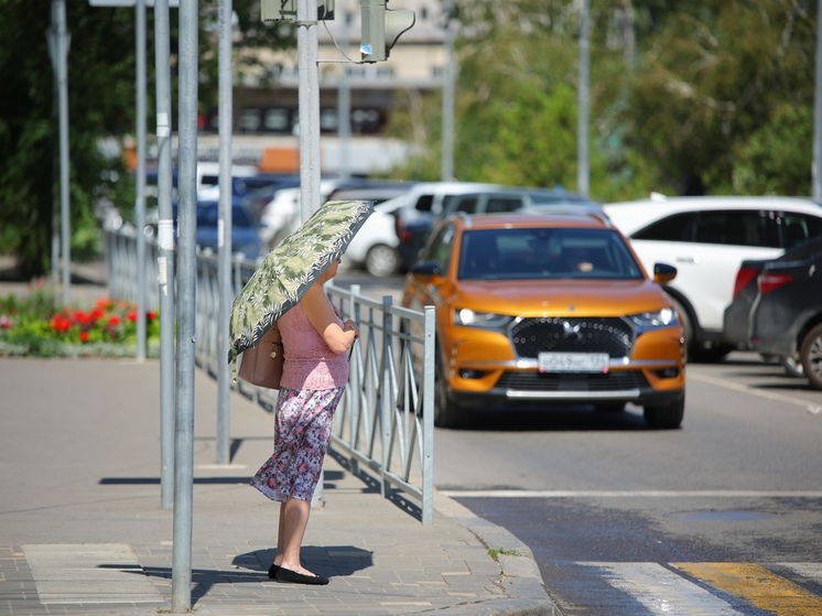 Врач из Волгограда дала 5 простых советов по поддержанию здоровья мозга