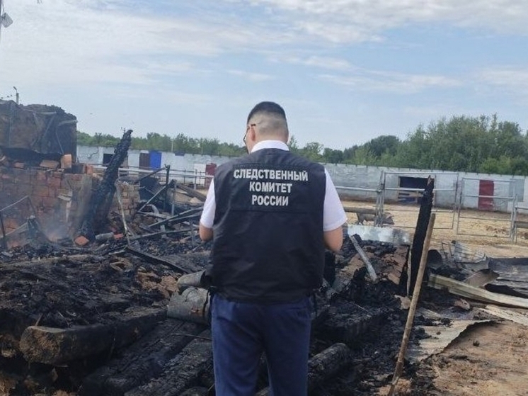 В Илекском районе по факту гибели пяти человек на пожаре возбуждено уголовное дело