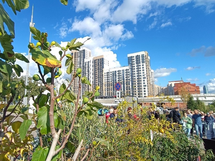 Пирс, солярий и сцена появятся на берегу Исети в рамках «Атмофеста»