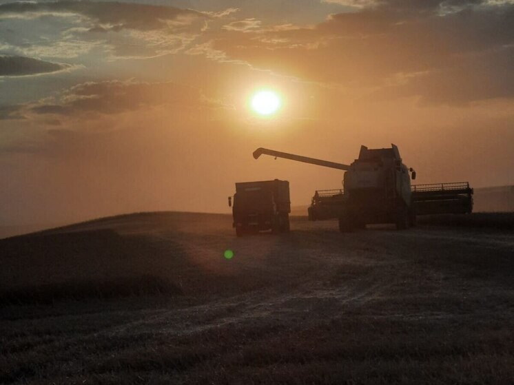 Левокумский округ первым на Ставрополье завершил уборку зерновых