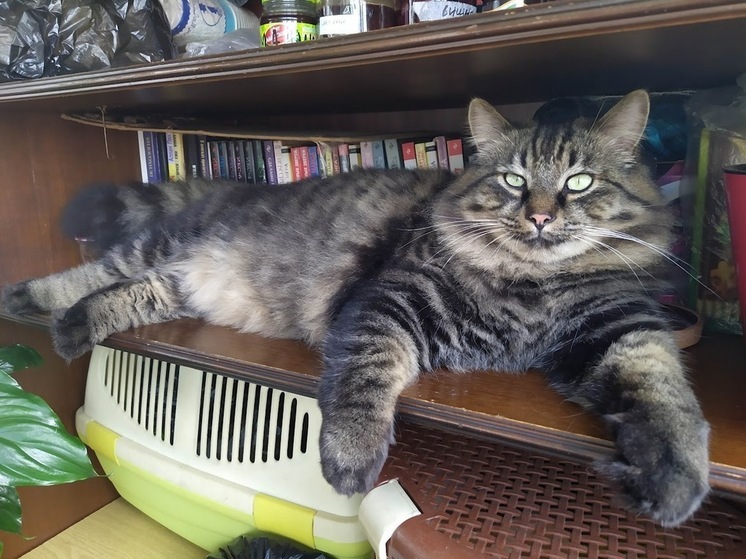 Пекло на пороге: в Приморье — жара до +34 °C, туман и морось не спасают