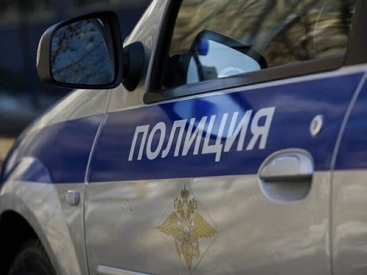 В Ингушетии инспекторы ДПС обнаружили при проверке автомобиля оружие и боеприпасы