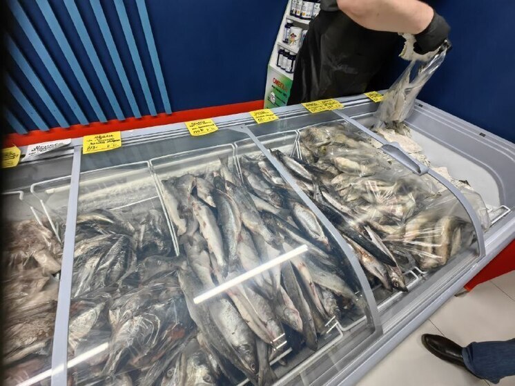 Хабаровские рыбаки держат второе место по объему вылова лососей