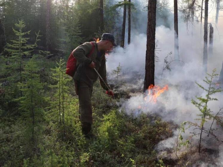 Пожар ликвидировали в Аяно-Майском районе Хабаровского края