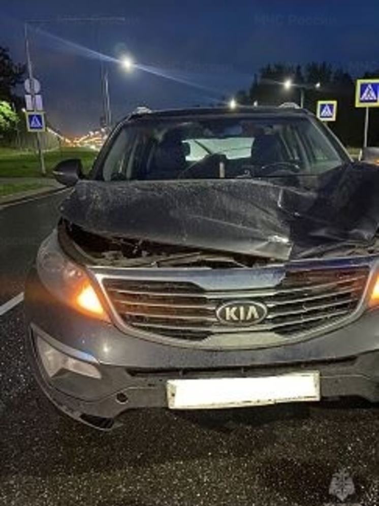 Вечером в Обнинске сбили пешехода