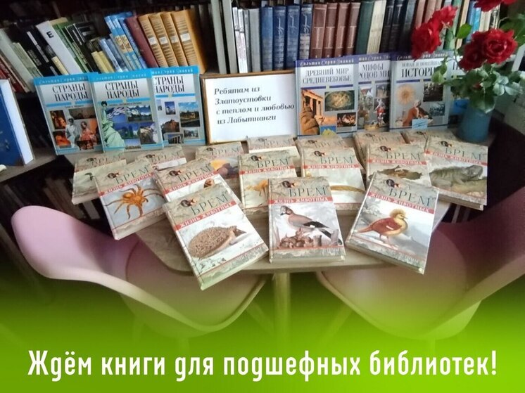 Сбор книг и игр для волновахских сельских библиотек объявили в Лабытнанги