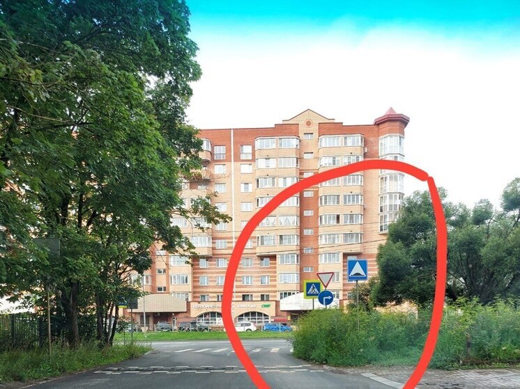 За этими джунглями людей не видно: псковские автомобилисты жалуются на траву