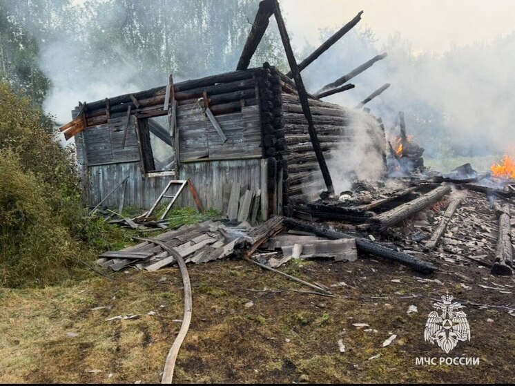 Нежилой дом загорелся в Опочецком округе