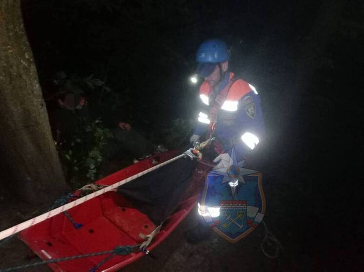В Волховском районе спасатели помогли травмированной девушке