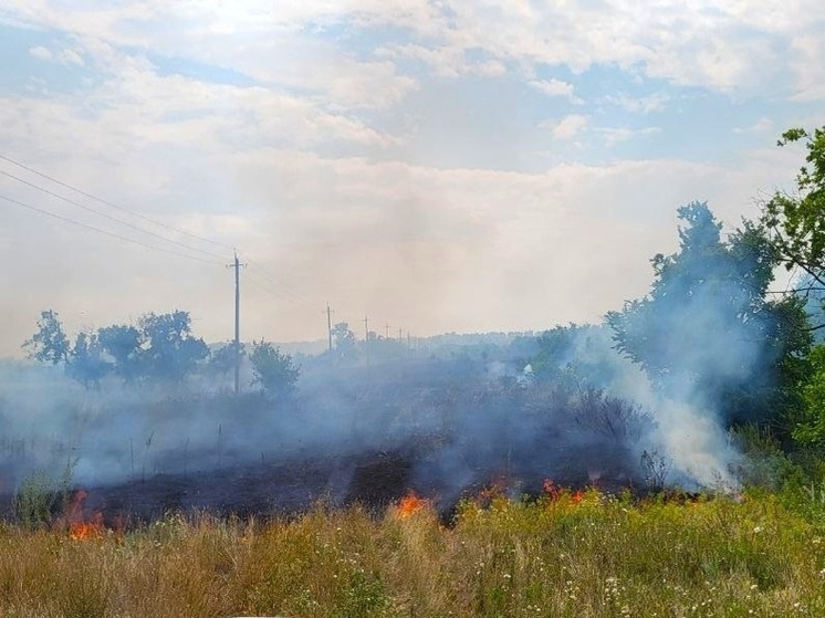 В Самарской области горело поле на 15 сотках