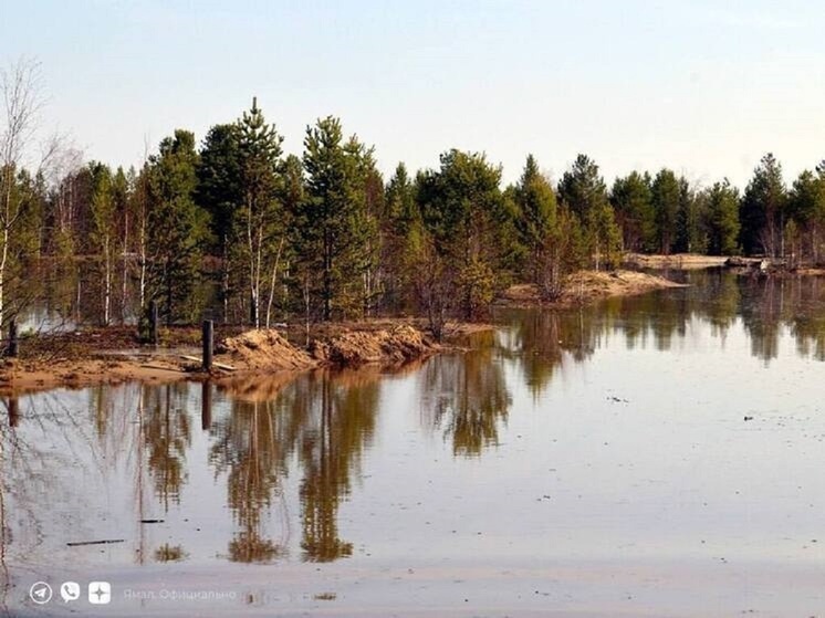 Допвыплаты от округа получают жители подтопленных дач Тарко-Сале