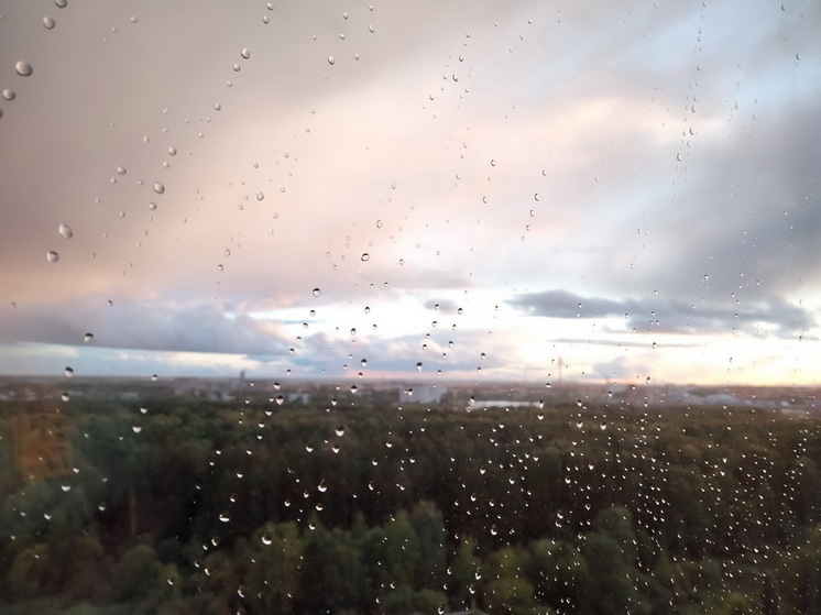 Неустойчивая погода и дожди с грозой: что ждет нас в ближайшие дни - прогноз от Гидрометцентра