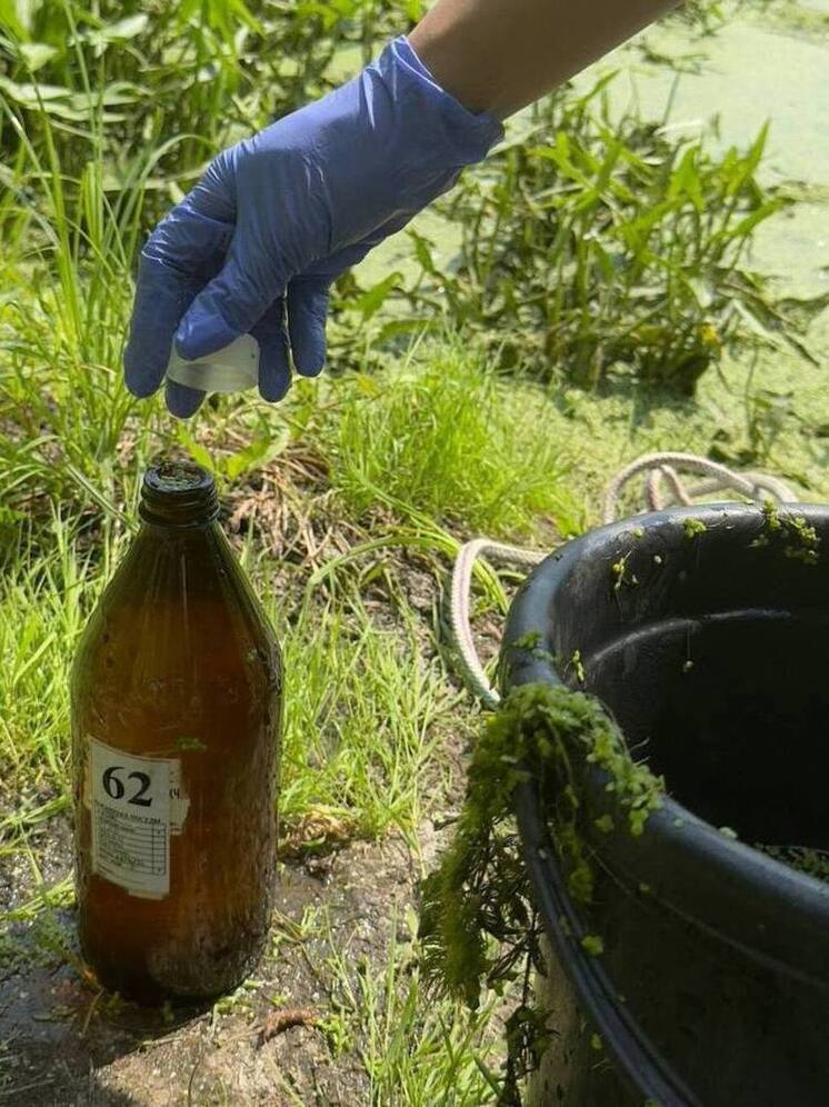 Под Самарой зафиксировано экстремально высокое загрязнение воды в реке Падовка