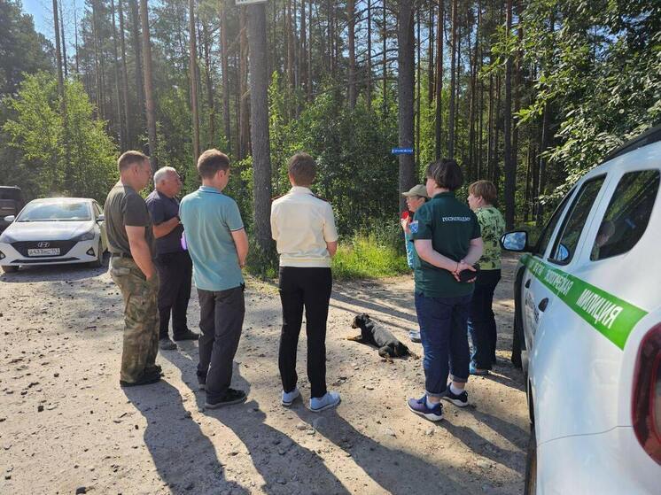Экологи проверили карьер в Приозерском районе после жалобы жительницы
