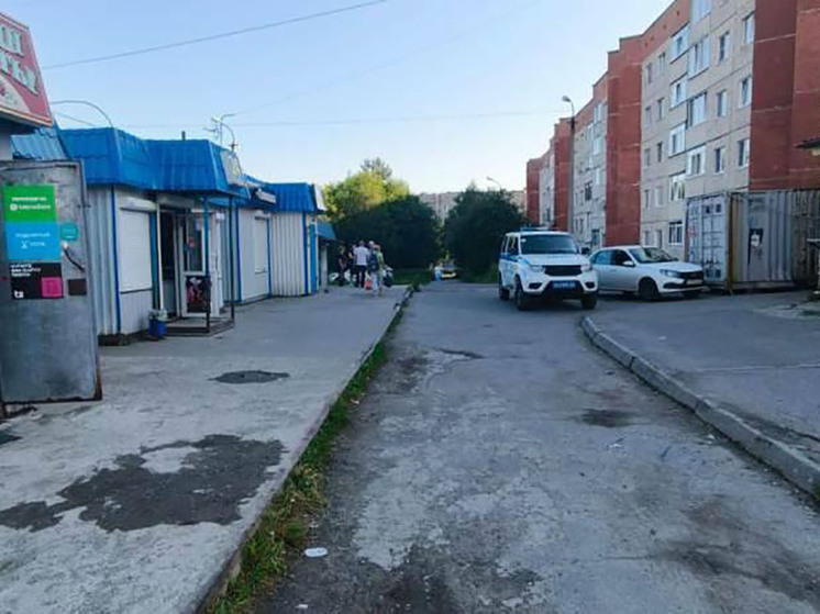 В Апатитах водитель сбил пожилую женщину, двигаясь задним ходом