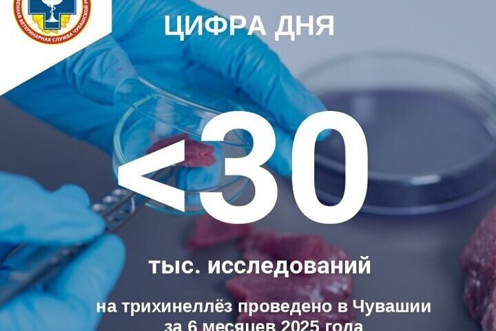 В Чувашии за полгода проверили 30 тысяч проб мяса на трихинеллёз