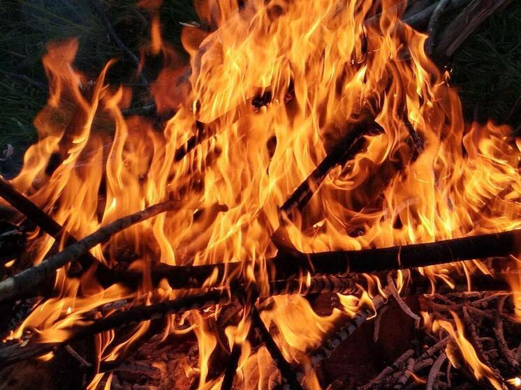 За сутки в Ленинградской области потушено пять пожаров