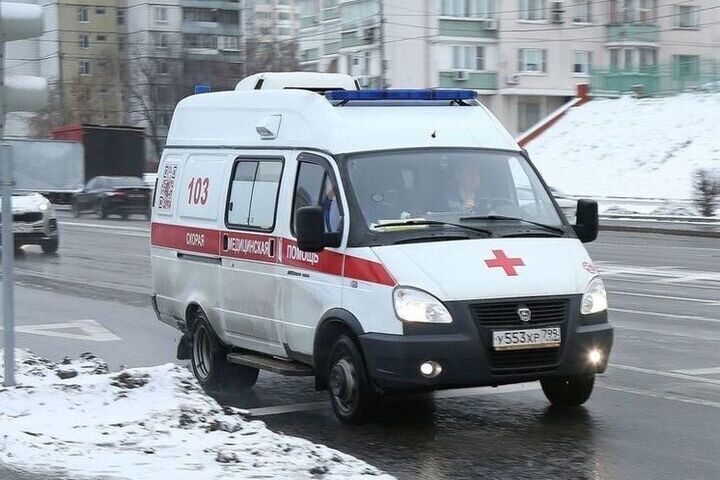 В Ленинградской области обнаружили человеческий скелет