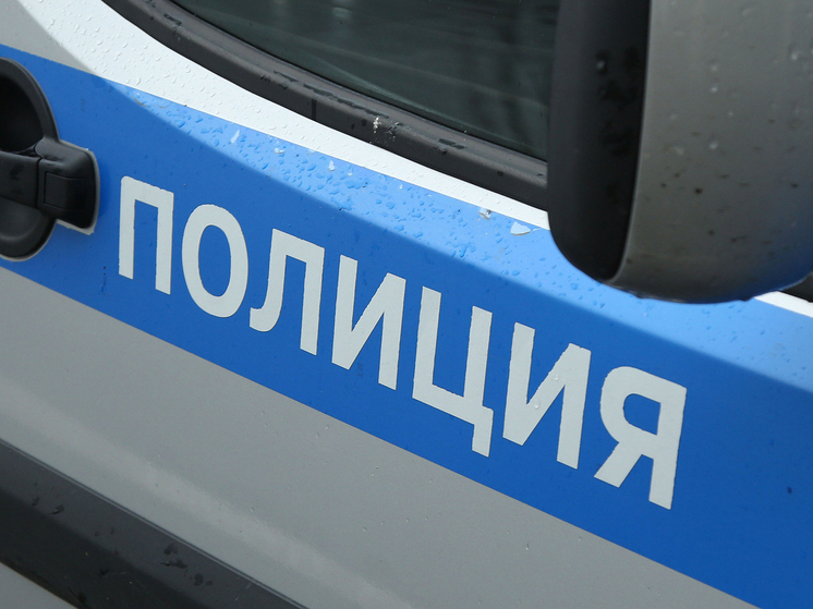 Полиция разбирается в конфликте между охранниками лагеря и подростками в Подмосковье