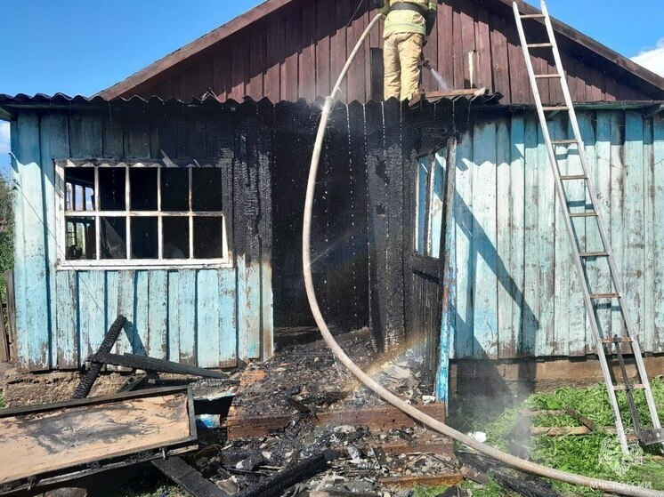 Ребенку удалось спастись. На пожаре в алтайском селе погиб дедушка