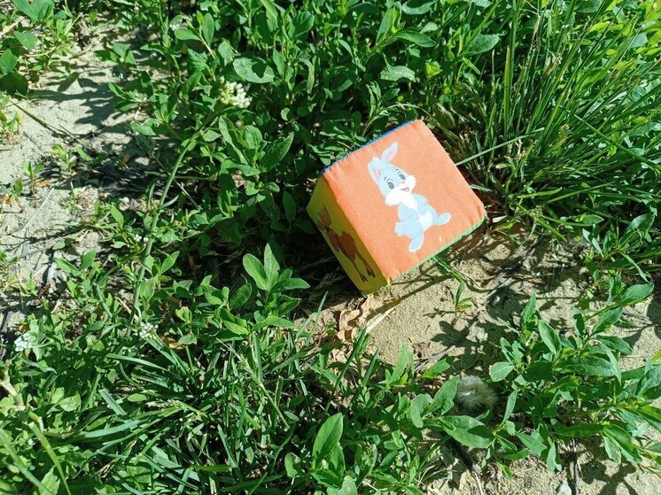 В Пензенской области восстановили права ребенка на пенсию по потере кормильца