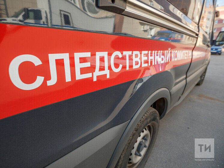 Уголовное дело завели на обидчиков женщины и ее дочери в Казани
