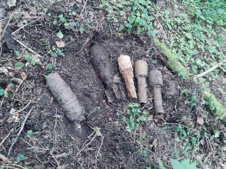 Снаряды времен ВОВ, найденные в двух округах, ликвидировали подмосковные спасатели