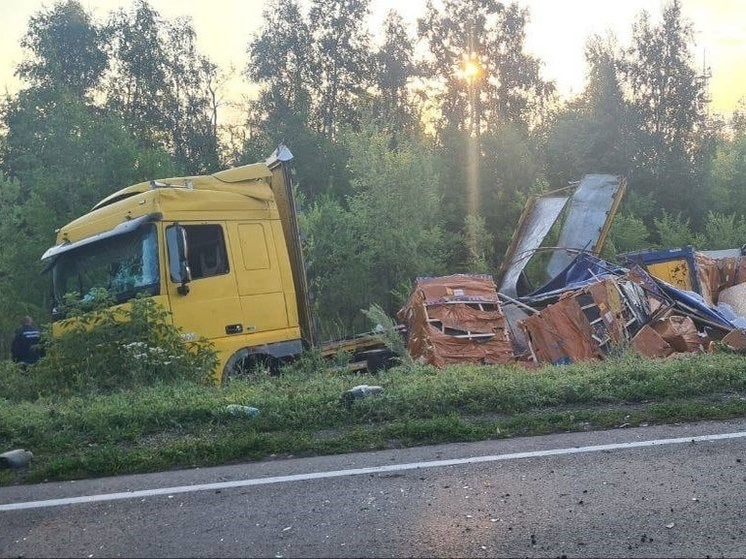 Грузовик DAF вылетел с дороги в Самарской области, пострадал водитель