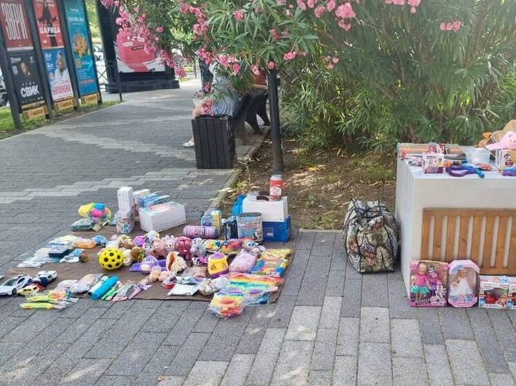 Полицейские изъяли у сочинки около 200 игрушек, продаваемых без документов