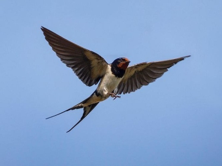 Что можно и нельзя делать 23 июля 2025 года: запреты и приметы в Рясочник