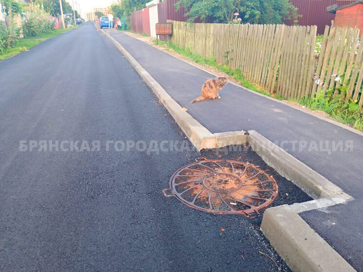 В Брянске ремонтируют улицу Городищенскую
