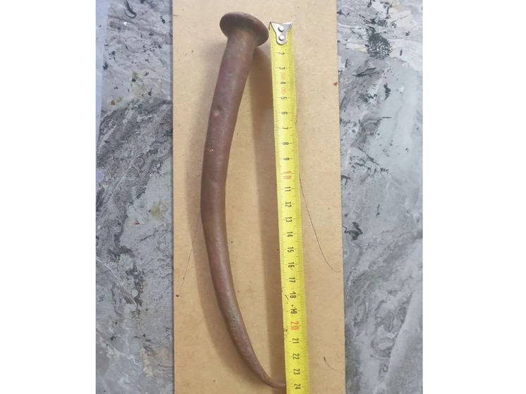 На продажу выставлены «древние» гвозди с морского дна Сочи за миллион рублей