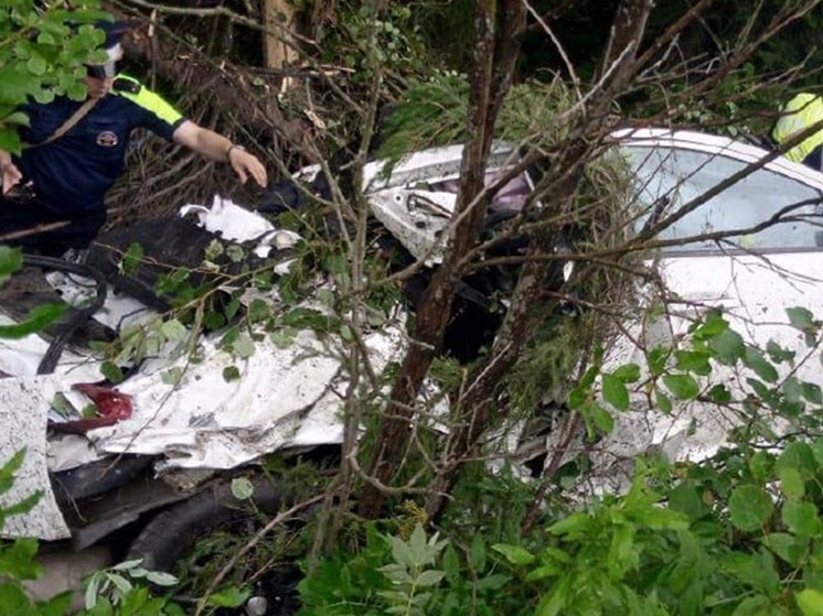 Житель Нижнего Тагила на КИА врезался в дерево и погиб