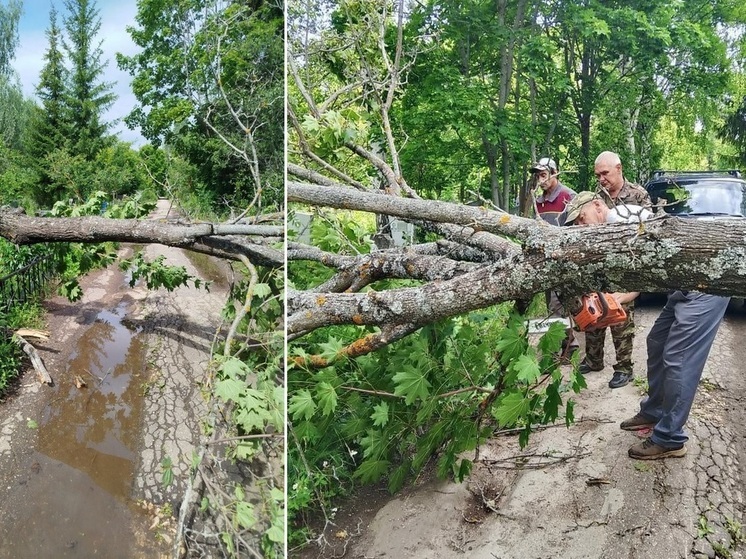 Каждому сообщению в соцсетях уделяется внимание
