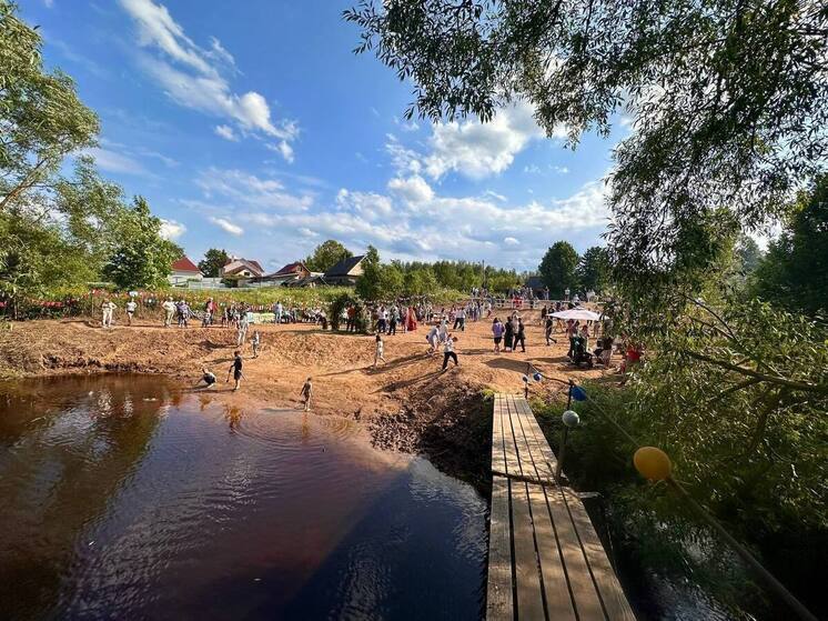 Тосы Великолукского района продолжают реализовывать проекты