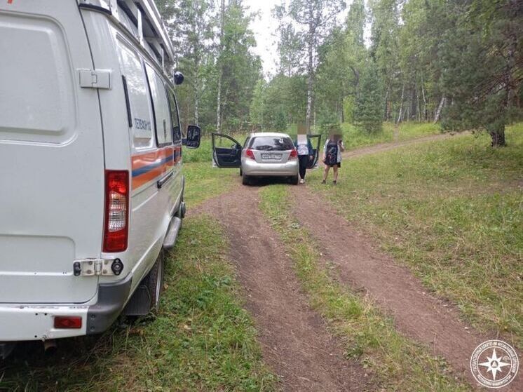 Две жительницы Башкирии отправились в лес за черникой и потерялись