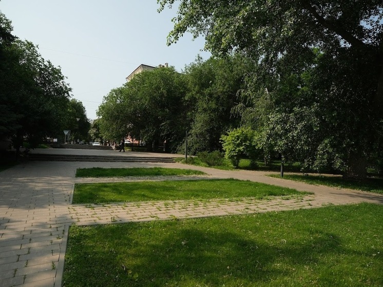 Волгоградцам рассказали, как предотвратить вырубку деревьев на территории МКД